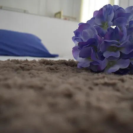 Casa Cinzia Nocleg ze śniadaniem 3*