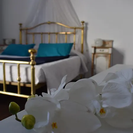 Casa Cinzia لاس بالماس دي غران كاناريا